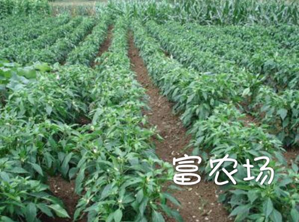 GB∕T 29157-2012 浮法玻璃生產(chǎn)生命周期評(píng)價(jià)技術(shù)規(guī)范(產(chǎn)品種類規(guī)則)